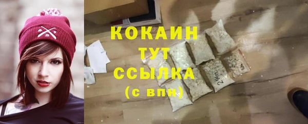 дживик Бородино