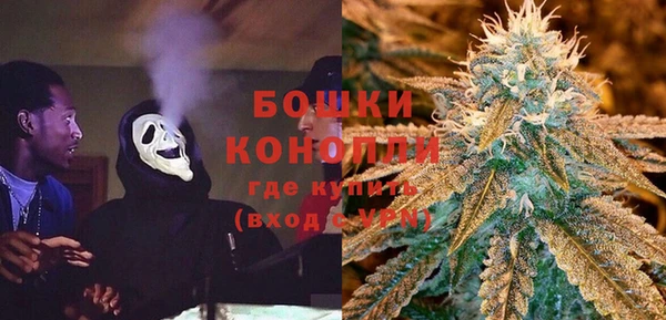 дживик Бородино
