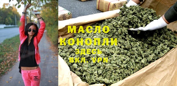 дживик Бородино