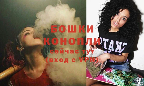 дживик Бородино