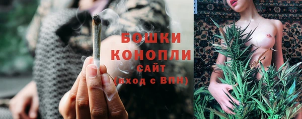 дживик Бородино