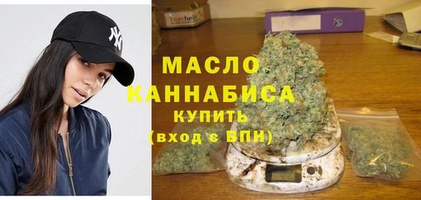 дживик Бородино