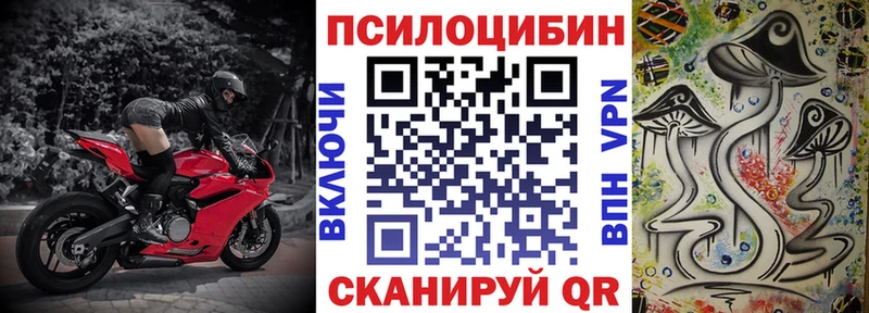 Псилоцибиновые грибы Psilocybine cubensis Нальчик